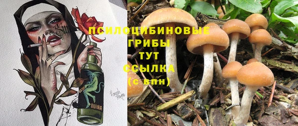PSILOCYBIN Козельск