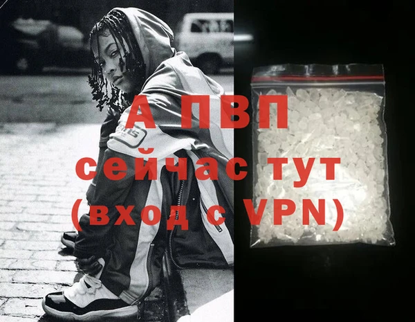 PSILOCYBIN Козельск