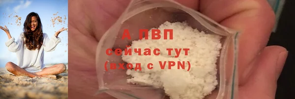 PSILOCYBIN Козельск