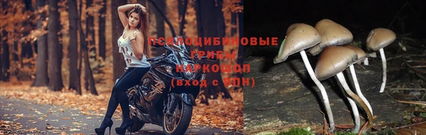 меф Козловка