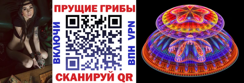 Купить закладки  Белая Калитва  Галлюциногенные грибы Psilocybine cubensis 